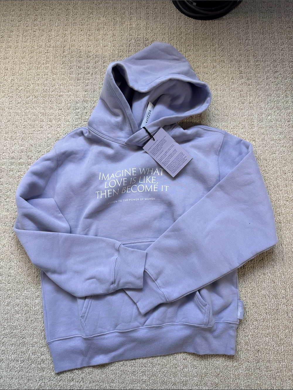 Aritzia Lavender Hoodie Sweatshirt with White Inspirational Text